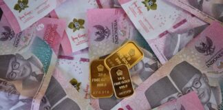 Tips Memulai Dana Darurat dengan Gaji Kecil dana darurat