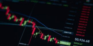 6 Cara Memilih Aplikasi Reksadana yang Tepat untuk Investor Pemula reksadana pasar uang