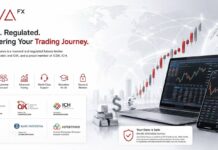 Kesalahan Umum yang Sering Dilakukan Trader Pemula di Pasar Forex trader pemula